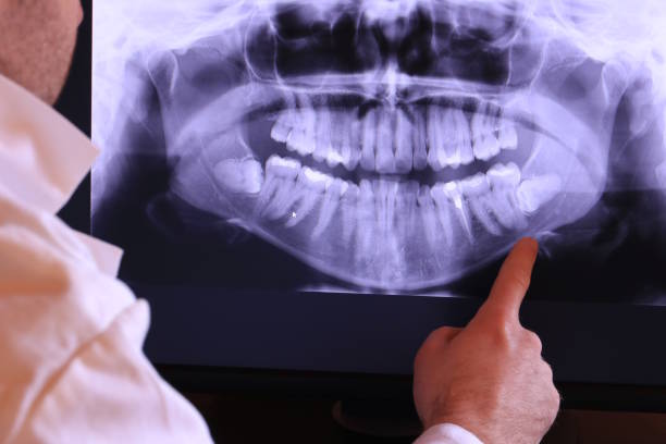 Best Emergency X-Rays and Diagnostics in Orida Gulf Coast University, FL